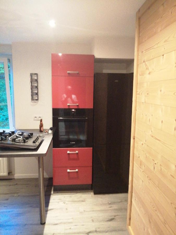 Appartement Les Champis La Bresse Kültér fotó